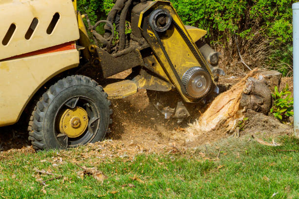 Reliable Carleton, MI Tree Services Solutions